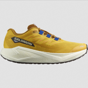 Salomon Men's Aero Blaze 3 GRVL (Spicy Mustard/Vanilla Ice/Nautical Blue)