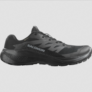 Salomon Men's Alphaglide GTX (Black/Asphalt/Black)