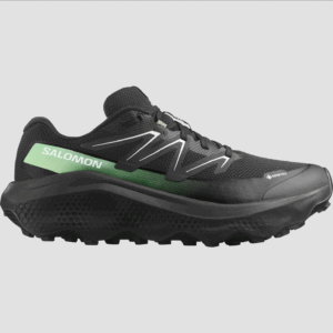 Salomon Men's Ultra Flow 2 GTX (Black/Black/Pantina Green)