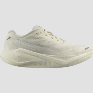 Salomon Women's Aero Blaze 3 (Vanilla Ice/White)