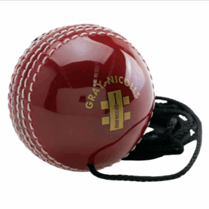 Gray-Nicolls Batting Master Ball