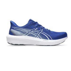 ASICS Men's GT-1000 15 (Prussian Blue/White)